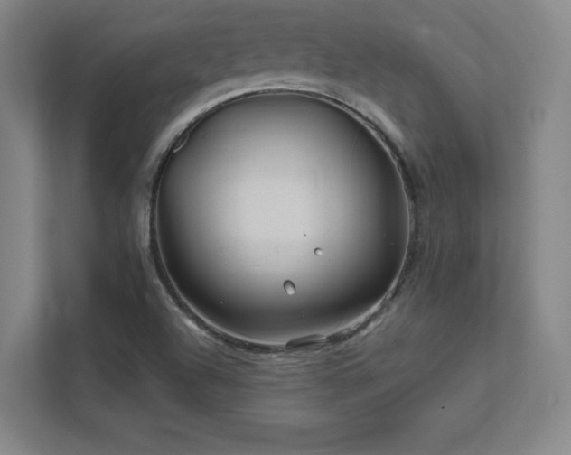 X0000111791504200907231132