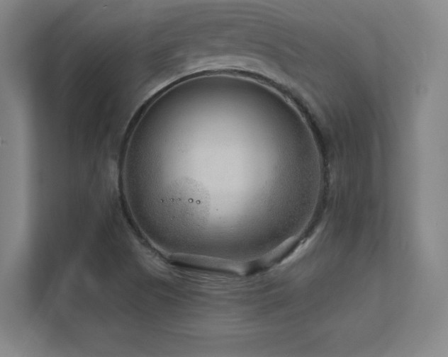 X0000111791505200907231132