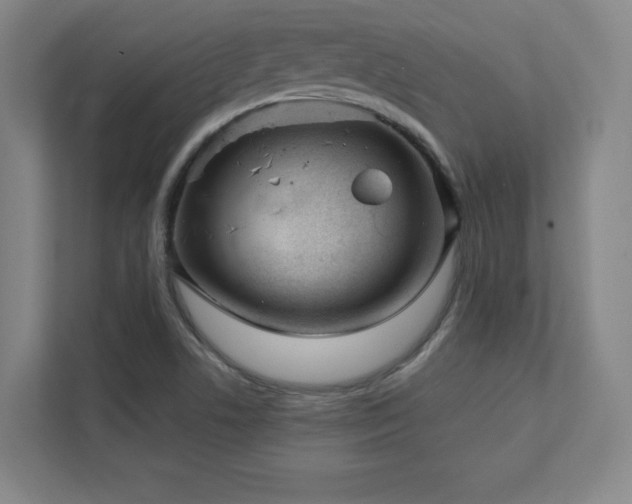 X0000111791506200907231132