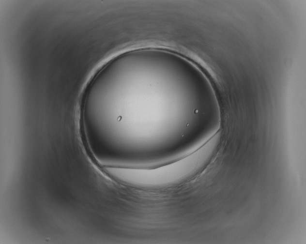 X0000111791508200907231132