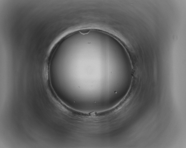 X0000111791510200907231132