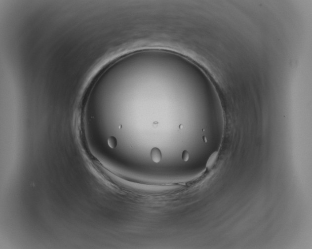 X0000111791511200907231132