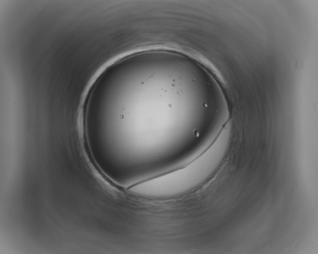 X0000111791516200907231132