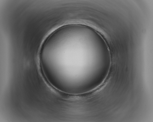 X0000111791517200907231132