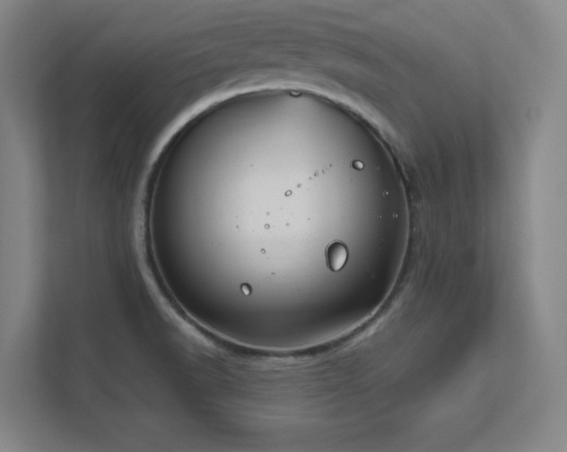 X0000111791518200907231132