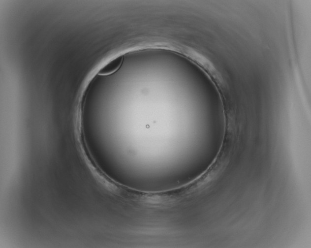 X0000111791520200907231132