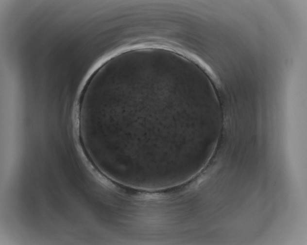 X0000111791522200907231132