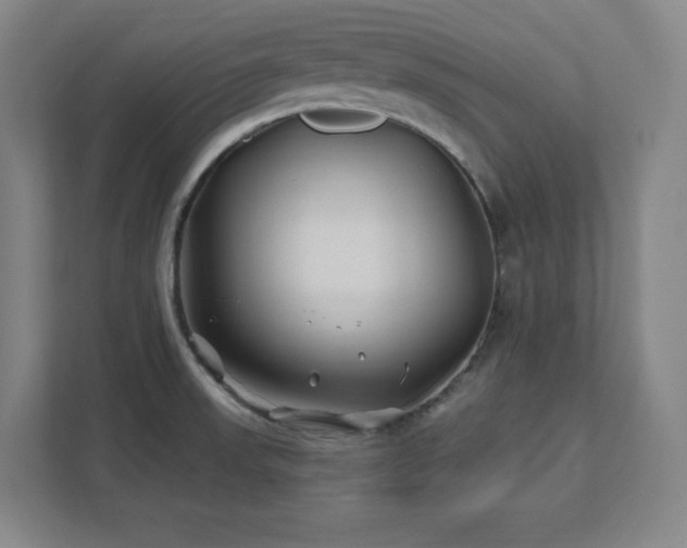X0000111791523200907231132