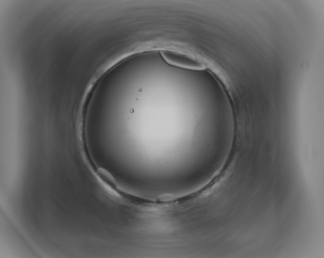 X0000111791525200907231133