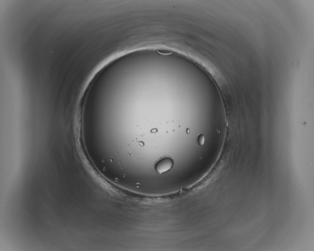 X0000111791526200907231133