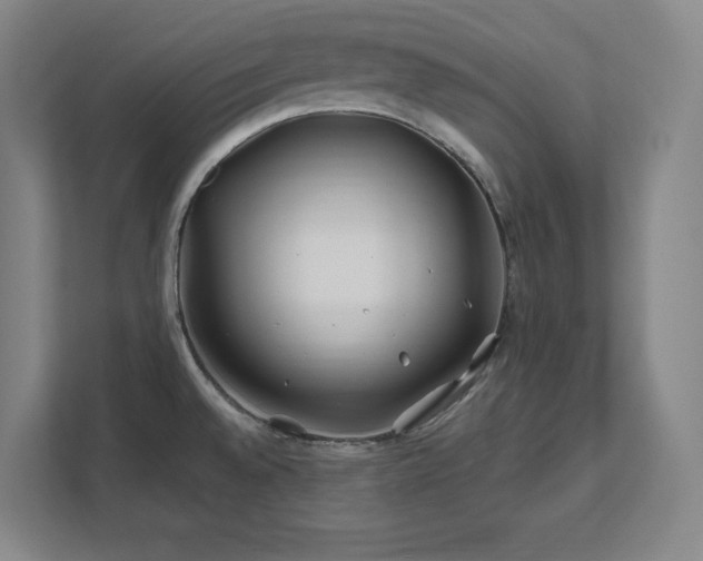 X0000111791528200907231133
