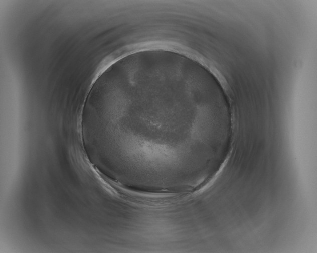 X0000111791529200907231133