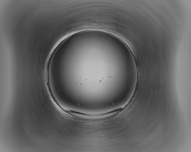 X0000111791531200907231133