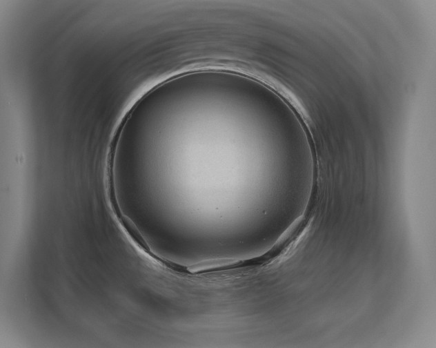 X0000111791533200907231133