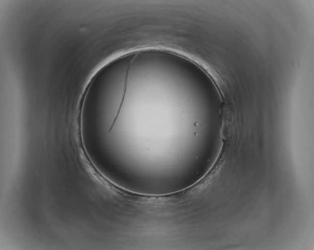 X0000111791534200907231133