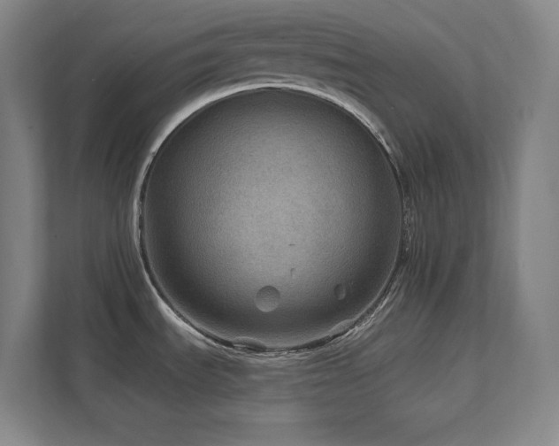 X0000111791535200907231133