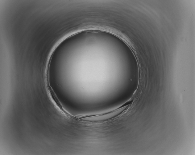 X0000111791536200907231133