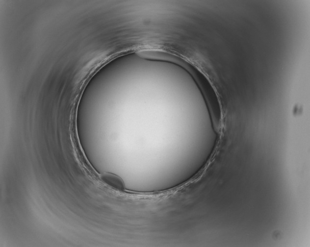 X0000111790001200907301156