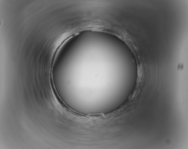 X0000111790003200907301156