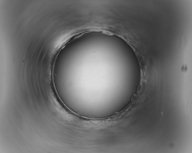 X0000111790005200907301156