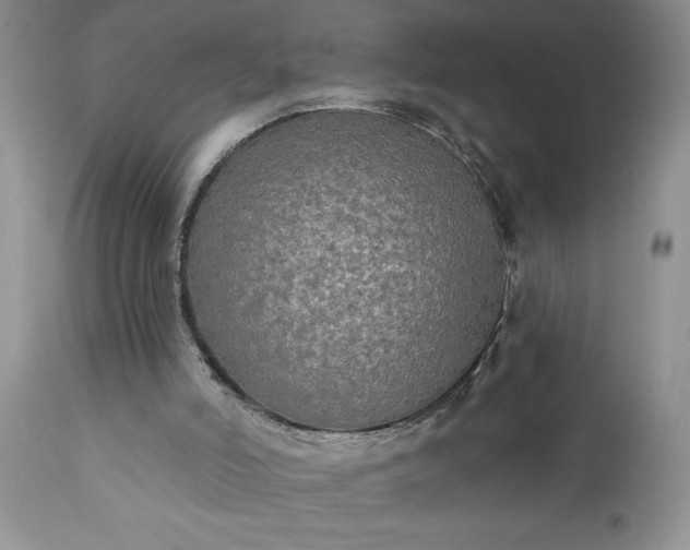 X0000111790006200907301156