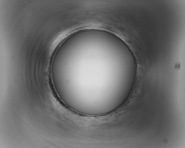 X0000111790007200907301156