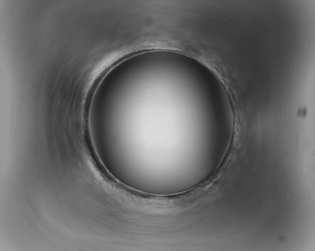 X0000111790008200907301156