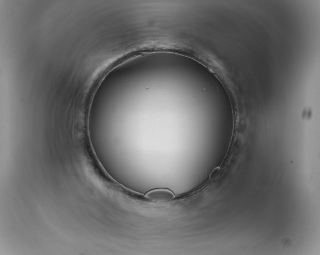 X0000111790012200907301156