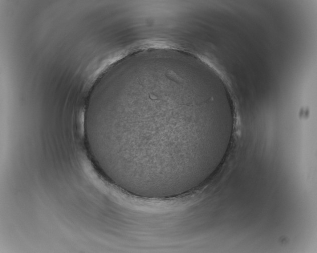 X0000111790014200907301156