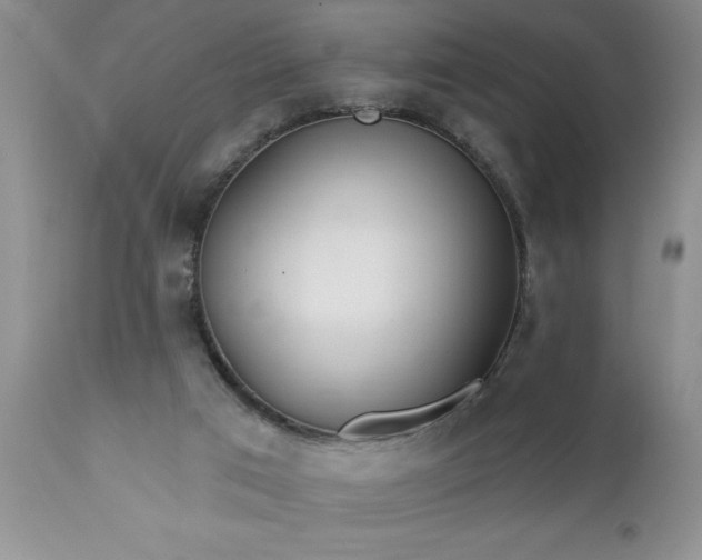 X0000111790017200907301156