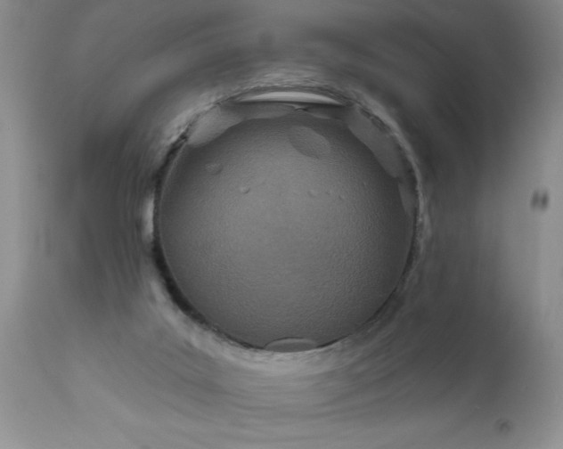 X0000111790019200907301155