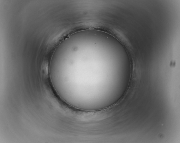 X0000111790021200907301155