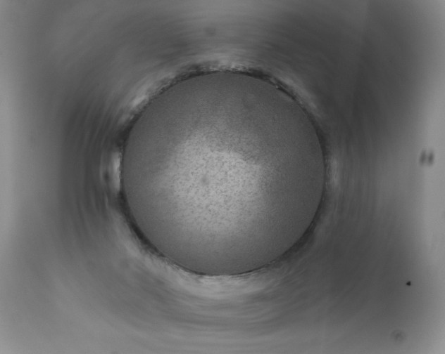 X0000111790022200907301155