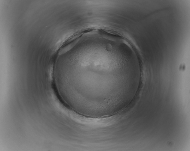 X0000111790023200907301155