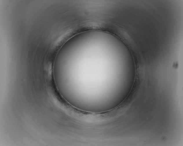 X0000111790024200907301155