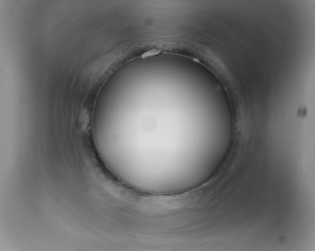 X0000111790025200907301155