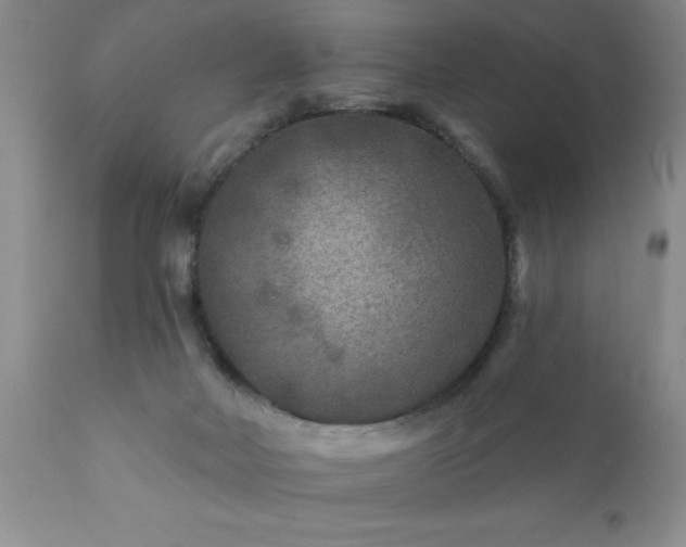 X0000111790026200907301155