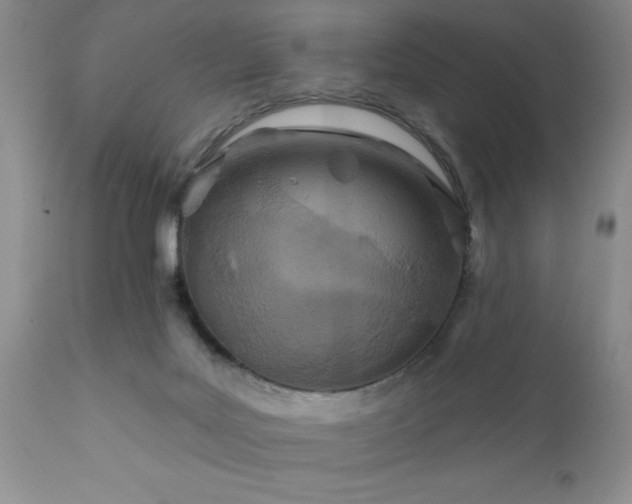 X0000111790027200907301155