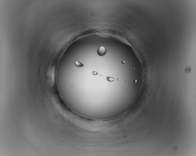 X0000111790028200907301155