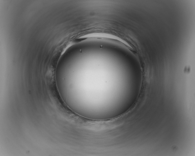 X0000111790029200907301155