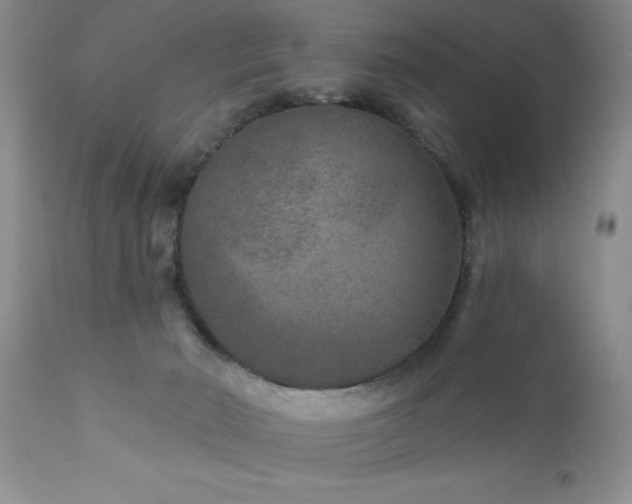 X0000111790030200907301155