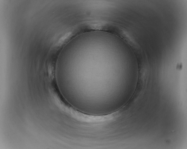 X0000111790031200907301155