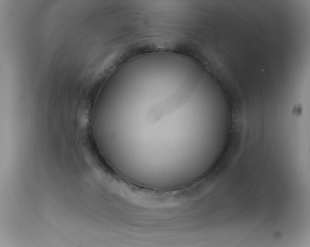 X0000111790032200907301155