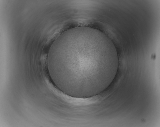 X0000111790034200907301155