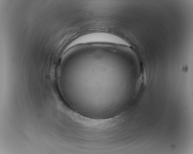 X0000111790035200907301155