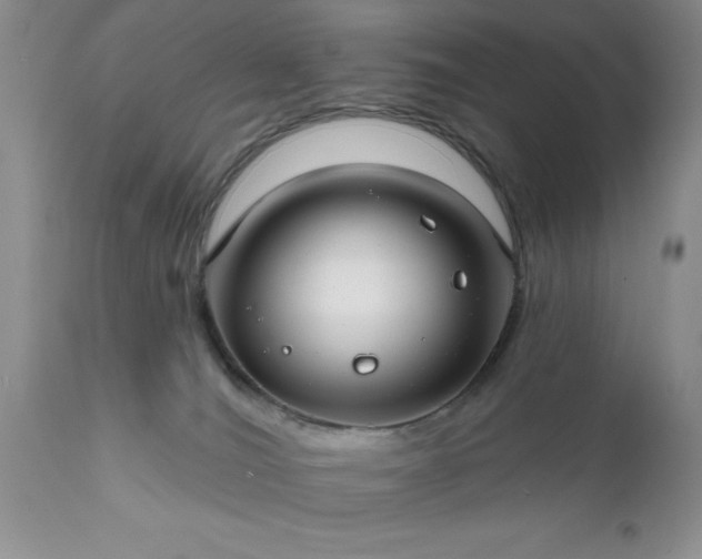 X0000111790036200907301155