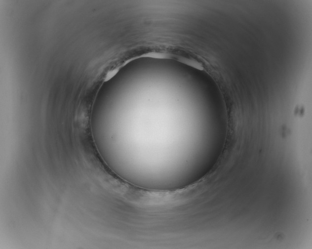 X0000111790037200907301155