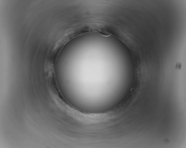 X0000111790038200907301155