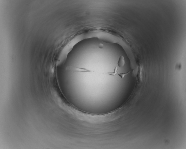 X0000111790039200907301155