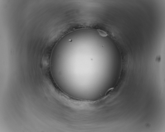 X0000111790040200907301155